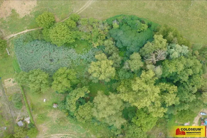 Prodej zahrady, Uherský Brod, 4292 m2