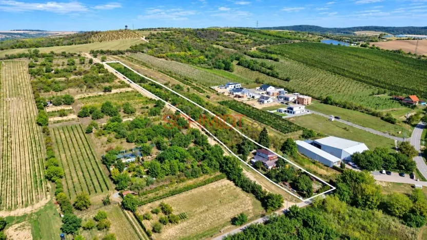 Prodej pozemku pro bydlení, Hustopeče, Havlíčkova, 7968 m2