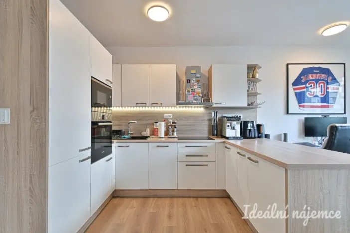 Pronájem bytu 2+kk, Brno, U Červeného mlýna, 59 m2
