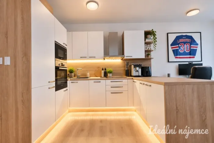 Pronájem bytu 2+kk, Brno, U Červeného mlýna, 59 m2