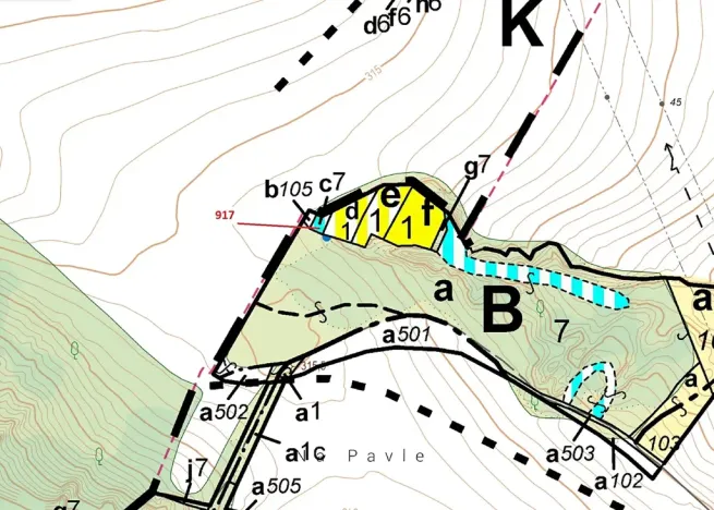 Dražba lesa, Horní Dunajovice, 194 m2