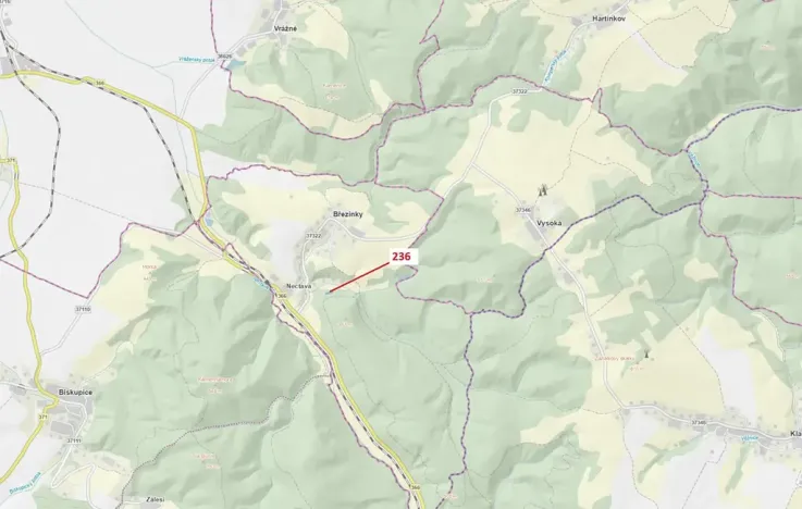 Dražba lesa, Březinky, 813 m2