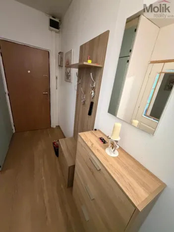 Prodej bytu 3+1, Chomutov, Gerstnerova, 64 m2