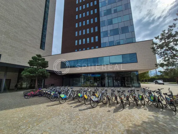 Pronájem obchodního prostoru, Brno - Štýřice, Holandská, 398 m2