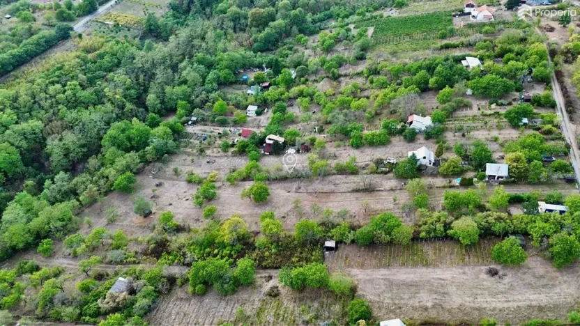Prodej zahrady, Dolní Kounice, 985 m2