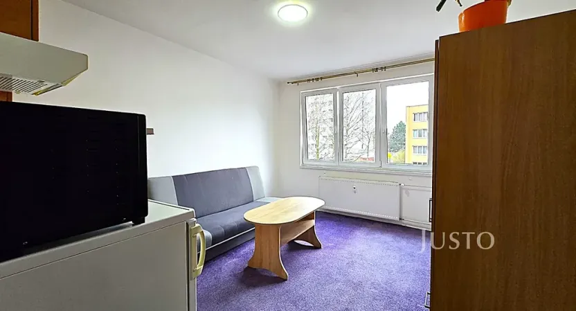 Pronájem bytu 1+kk, Písek, Dr. M. Horákové, 20 m2