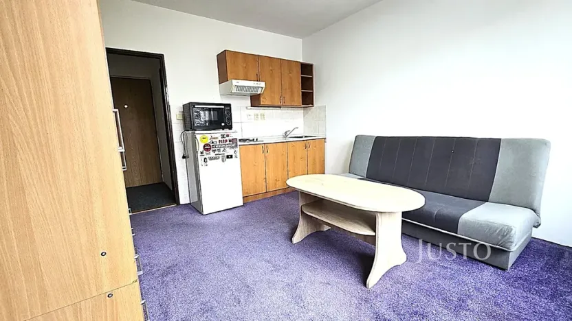 Pronájem bytu 1+kk, Písek, Dr. M. Horákové, 20 m2