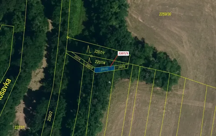 Dražba lesa, Horní Dunajovice, 28 m2