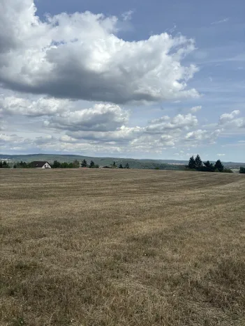 Prodej pozemku, Brno, Vejrostova, 2440 m2