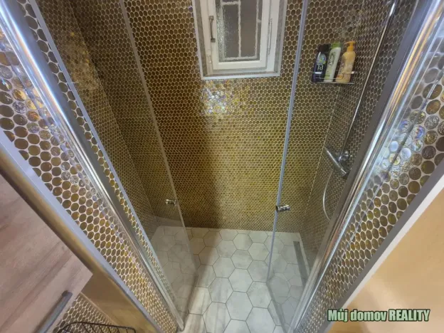 Pronájem bytu 1+1, Praha - Nové Město, Hálkova, 38 m2