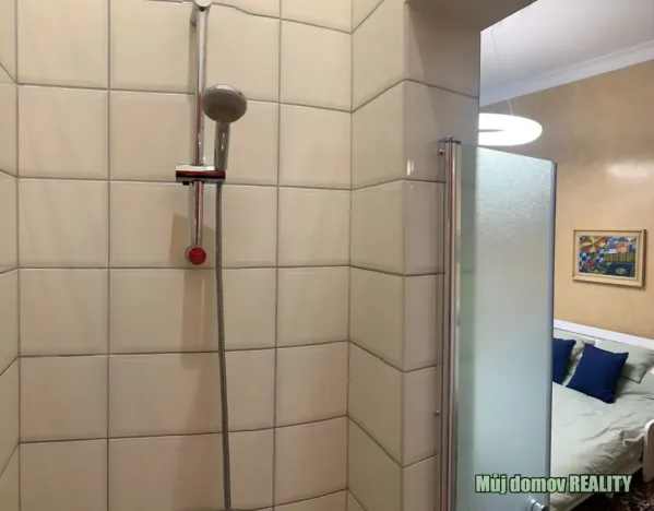Pronájem bytu 1+1, Praha - Nové Město, Hálkova, 33 m2