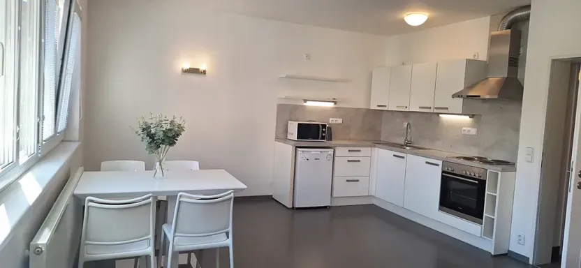 Pronájem bytu 1+kk, Brno, Stará, 46 m2