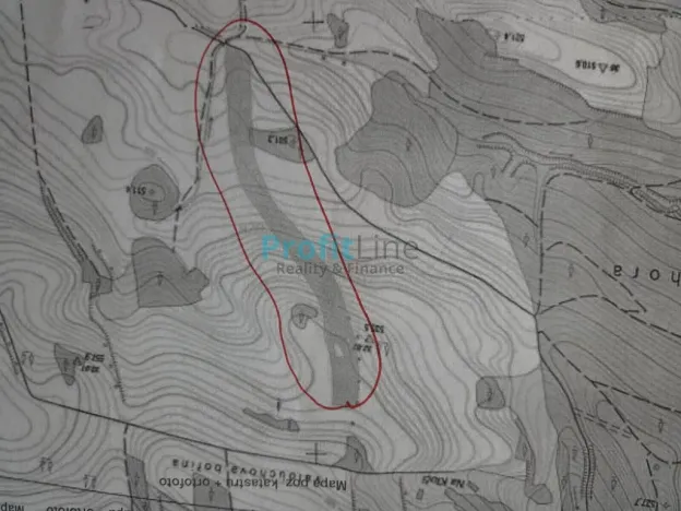 Prodej pozemku, Jedlí, 47059 m2