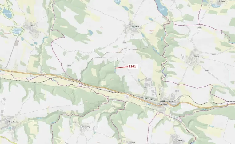Dražba lesa, Vladislav, 2068 m2