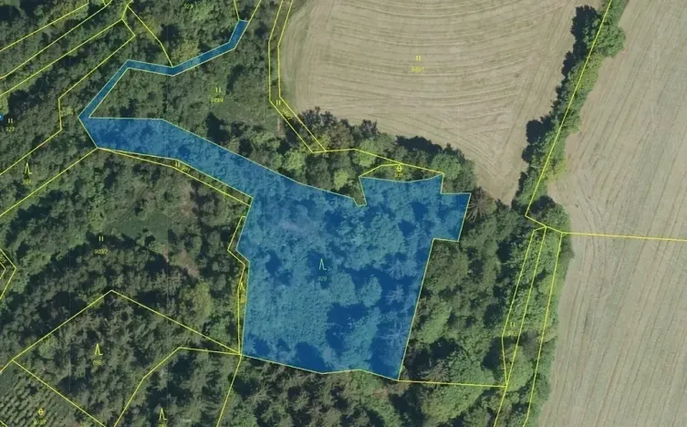 Dražba lesa, Zálezly, 5736 m2