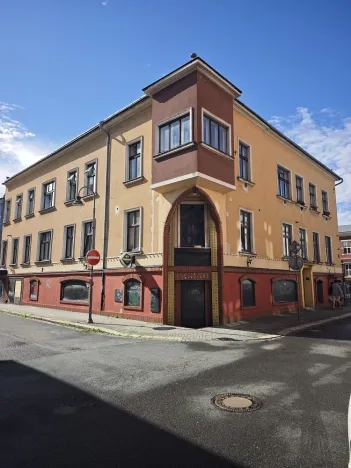 Prodej komerční, Ostrava - Moravská Ostrava, Janáčkova, 165 m2