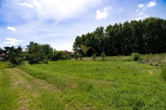 Prodej rodinného domu, Hrabětice, Hrušovanská, 125 m2