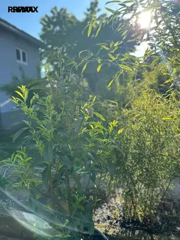 Prodej rodinného domu, Hrob, 80 m2