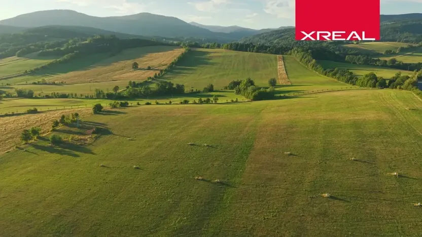 Prodej komerčního pozemku, Mladé Buky, 114943 m2