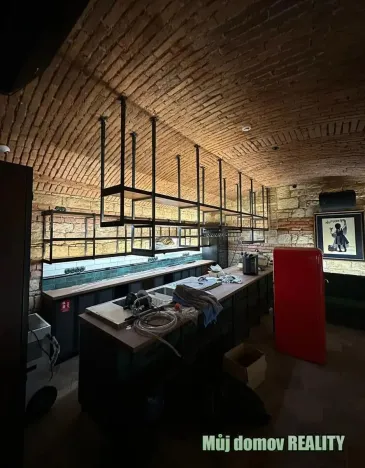 Pronájem restaurace, Praha - Nové Město, Ječná, 220 m2