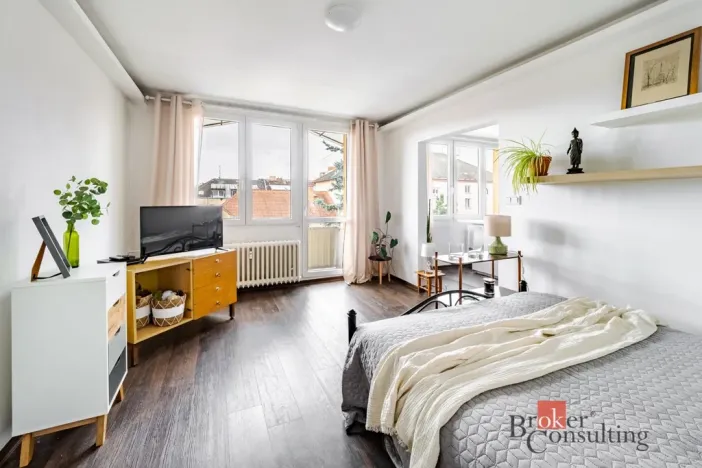 Pronájem bytu 1+1, České Budějovice - České Budějovice 3, Nerudova, 38 m2