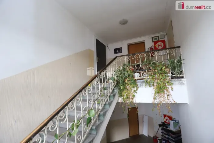 Prodej bytu 3+1, Cheb, Svatopluka Čecha, 87 m2