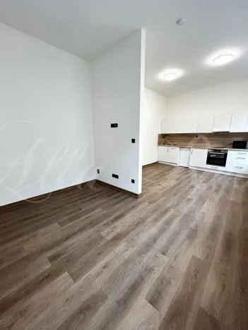 Pronájem bytu 2+kk, Brno - Zábrdovice, Bratislavská, 50 m2