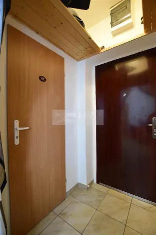 Pronájem bytu 1+1, Plzeň, K Papírně, 37 m2