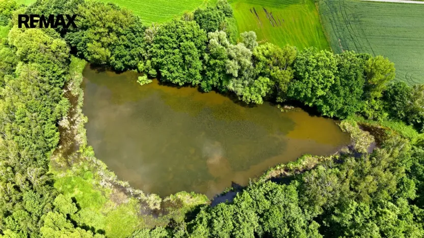 Prodej rybníku, Horčápsko, 12721 m2