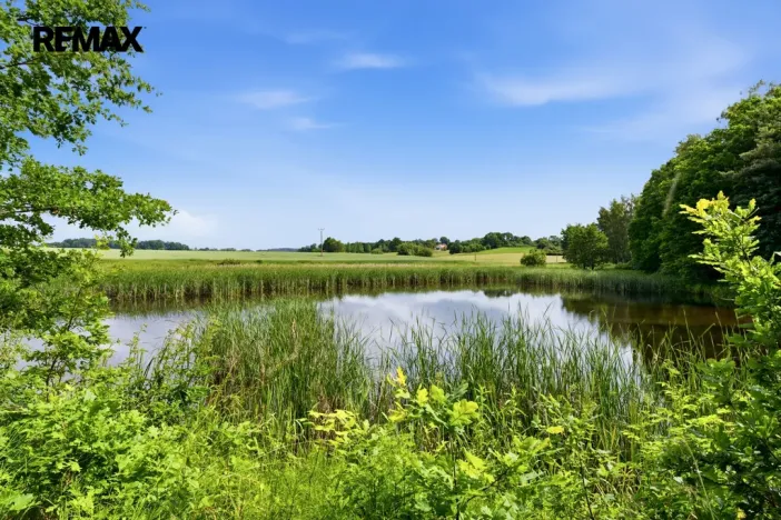 Prodej rybníku, Horčápsko, 12721 m2