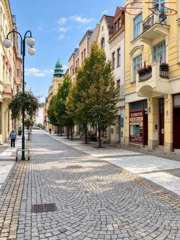 Pronájem obchodního prostoru, Jablonec nad Nisou, Lidická, 83 m2
