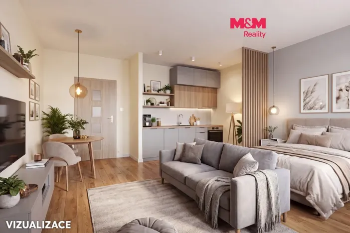 Prodej bytu 1+kk, Ústí nad Labem - Krásné Březno, U Pivovarské zahrady, 31 m2