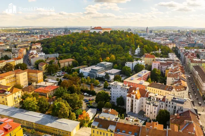 Prodej bytu 2+kk, Brno, Úvoz, 61 m2