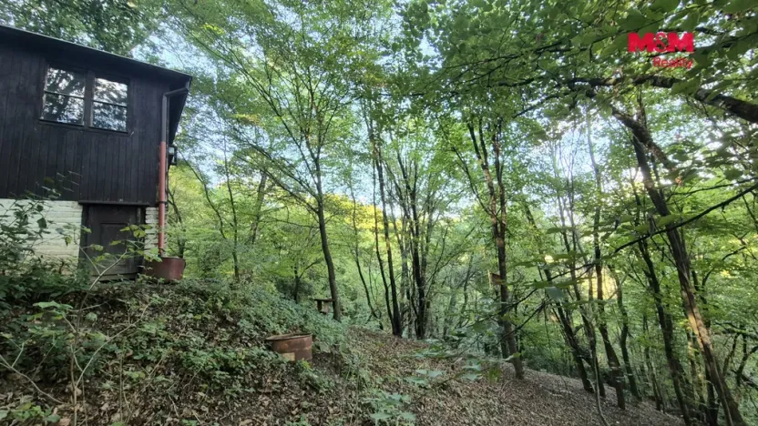 Prodej chaty, Zbečno - Újezd nad Zbečnem, 33 m2