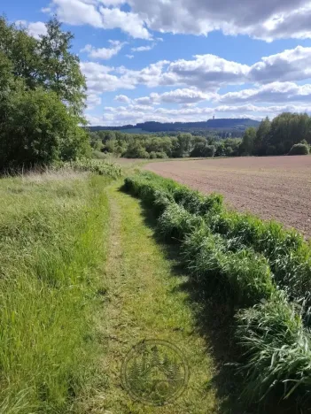 Prodej chalupy, Cheb - Skalka, 48 m2
