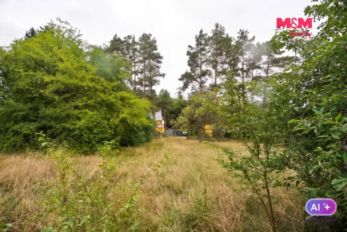 Prodej pozemku pro bydlení, Družec, 2828 m2