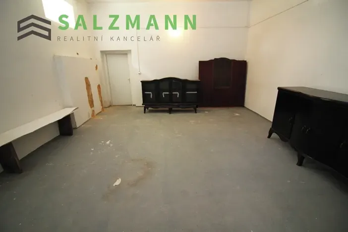 Prodej skladu, Plzeň, Francouzská třída, 39 m2