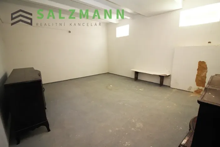Prodej skladu, Plzeň, Francouzská třída, 39 m2
