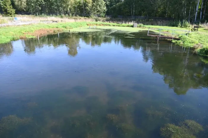 Prodej komerční nemovitosti, Lomnice - Tylov, 5700 m2