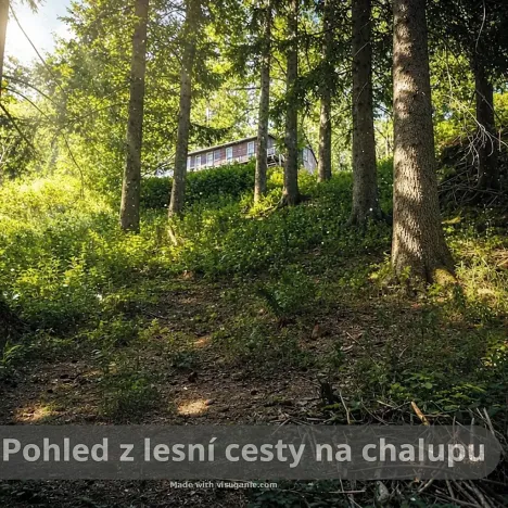Prodej chalupy, Strážné, 200 m2