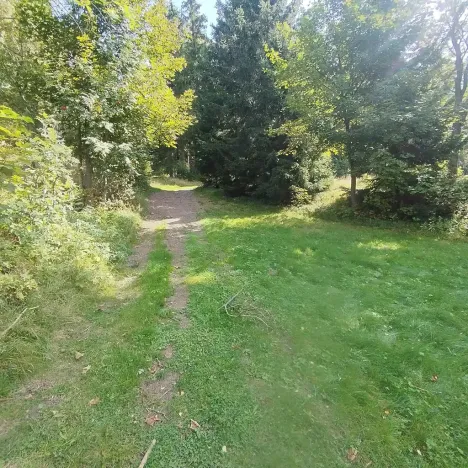 Prodej chalupy, Strážné, 200 m2