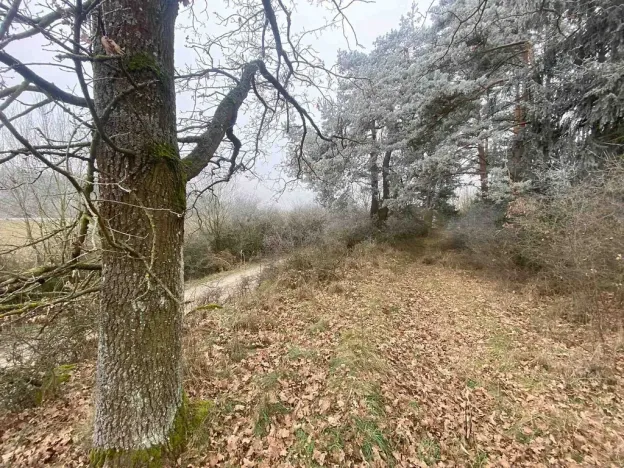 Prodej pole, Slatina, 13059 m2