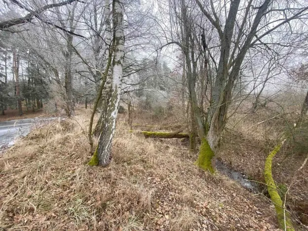 Prodej pole, Slatina, 13059 m2