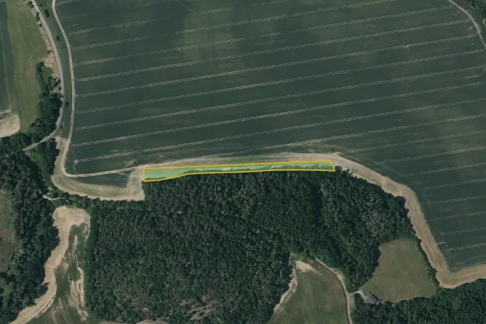 Prodej pole, Kladruby, 14003 m2