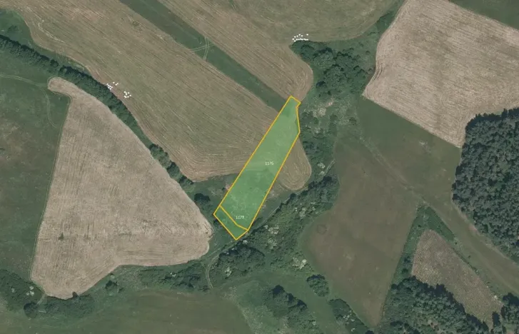 Prodej louky, Pačejov, 13638 m2