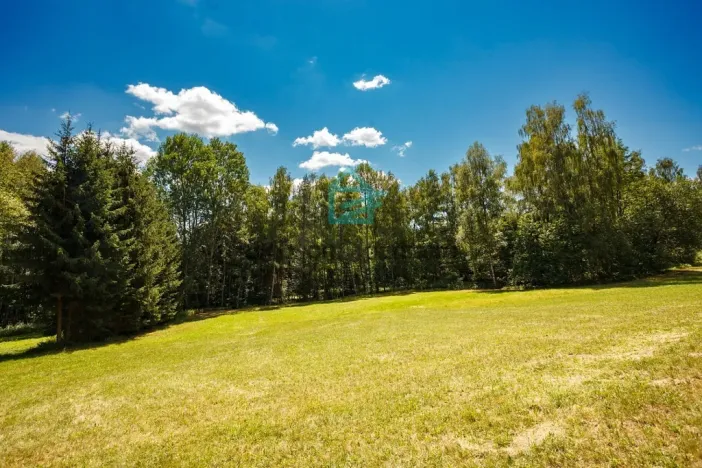 Prodej pozemku, Benešov nad Černou - Klení, 6805 m2