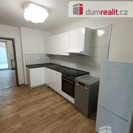 Pronájem bytu 2+kk, Ústí nad Labem - Ústí nad Labem-centrum, Elišky Krásnohorské, 65 m2
