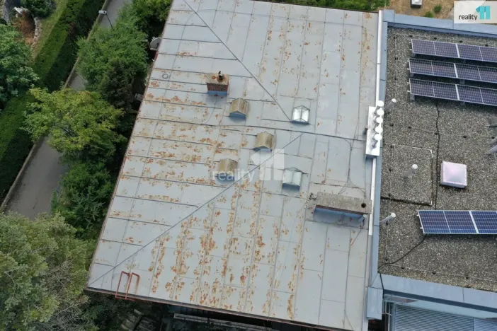Prodej rodinného domu, Brno - Stránice, Preslova, 260 m2