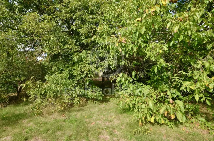 Prodej rodinného domu, Bystrovany, Makarenkova, 270 m2