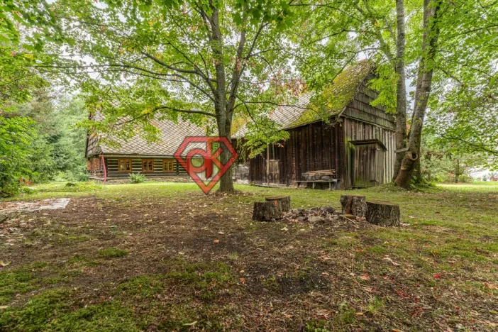 Prodej chalupy, Červená Voda - Dolní Orlice, 133 m2